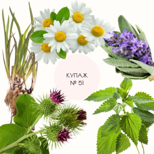 Купаж №51 CO2 экстракт (водорастворимый)  